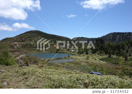 草津白根山の弓池園地 2017年6月17日 31724332