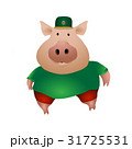 Pig 31725531