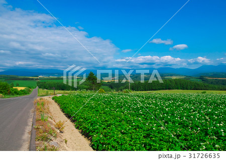 就実の丘あたりの風景 31726635