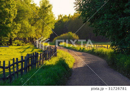 Rural Sweden landscape Rural Sweden landscape 31726781