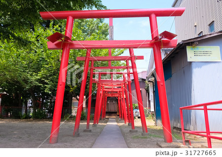 蕨市 三和稲荷神社 鳥居 蕨市 三和稲荷神社 鳥居 31727665