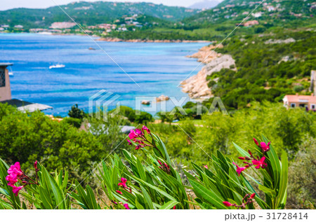 Costline at Porto Rafael, Palau, Sardinia, Italy 31728414
