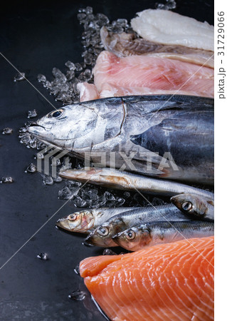 Vatiery of raw fresh fish Vatiery of raw fresh fish 31729066