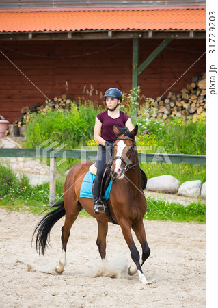 Horse rider is training in the arena Horse rider is training in the arena 31729203