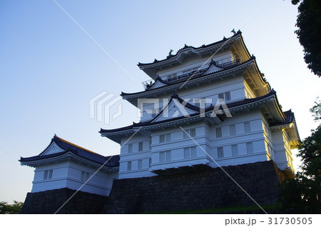 小田原城の夕暮れ 31730505