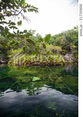 Cenote with pure water, Mexico Cenote with pure water, Mexico 31730806