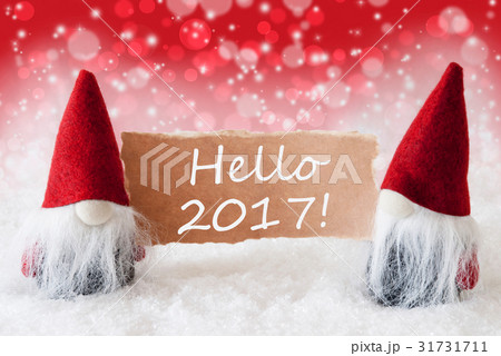 Red Christmassy Gnomes With Card, Text Hello 2017 Red Christmassy Gnomes With Card, Text Hello 2017 31731711