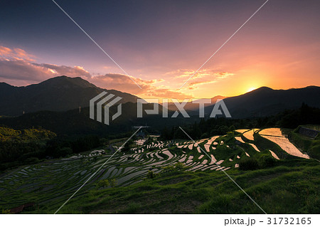 棚田の夕景 31732165