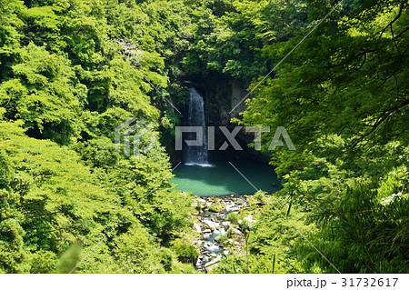 須崎の滝 須崎の滝 31732617