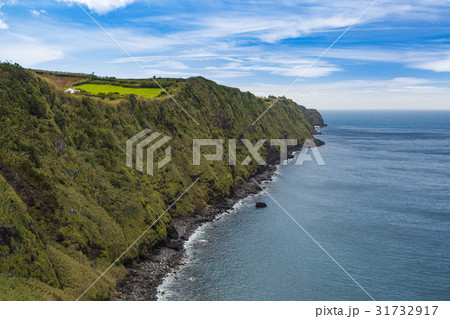Coast and cliffs near Nordeste, Sao Miguel island 31732917
