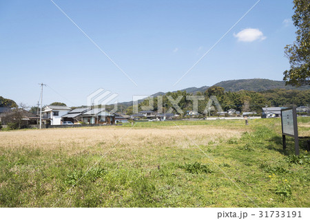 大宰府政庁の東にあった学校院跡(福岡県太宰府市) 大宰府政庁の東にあった学校院跡(福岡県太宰府市) 31733191