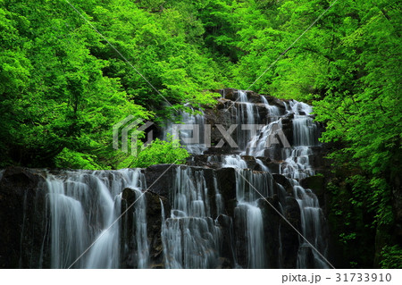 夏の立又渓谷　二の滝 31733910