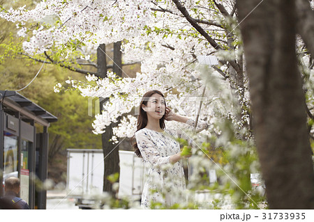 桜 植物 屋外 31733935