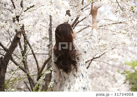 桜 若い女性 快適 31734008