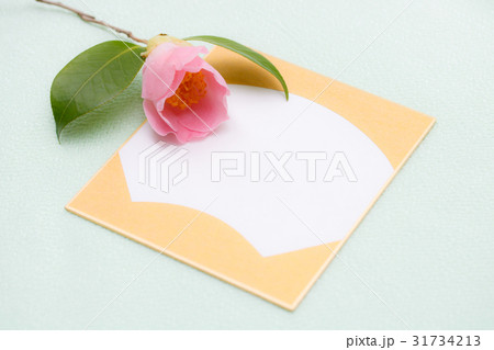 不老庵と寸松庵 31734213