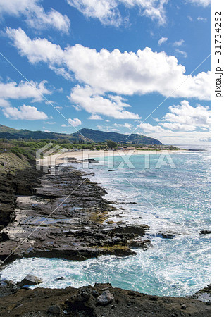 ハワイ(Hawaii)・海岸02 ハワイ(Hawaii)・海岸02 31734252