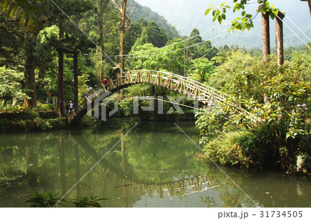 池溏 景色 風景 31734505