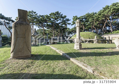 ムンインソク ソウル ソンジョンルン 31735904