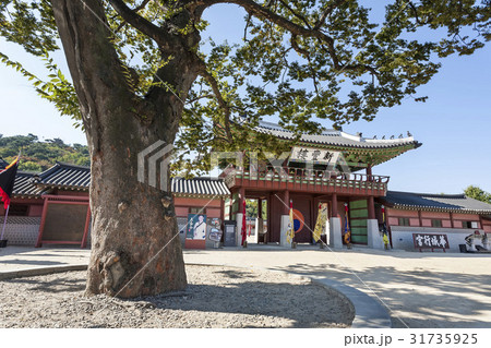 古建築 木 神風楼 31735925