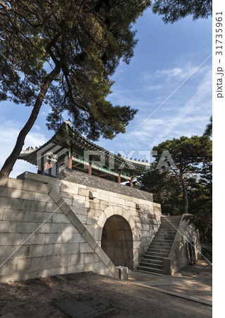 木 北岳山 ソウル 31735961