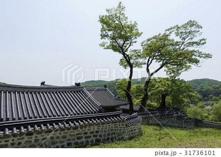 京畿道 キョンギド 南漢山城 31736101