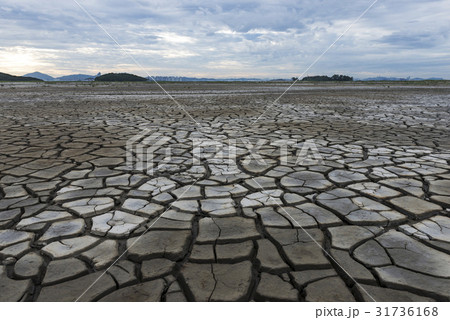 干ばつ 割れ 永宗島 31736168