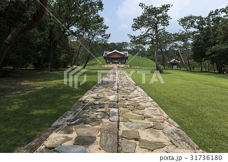 江陵丁字閣 墓 ソウル 31736180