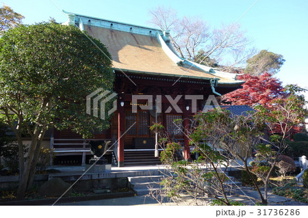 東福寺 東福寺 31736286