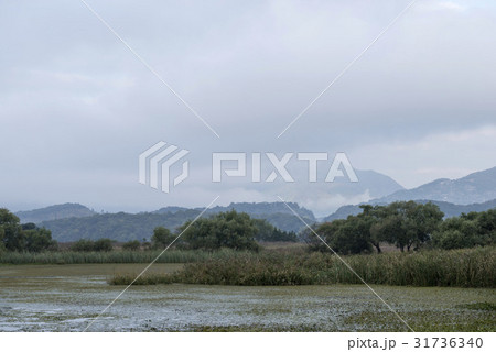 京畿道 キョンギド ヅムルモリ 31736340