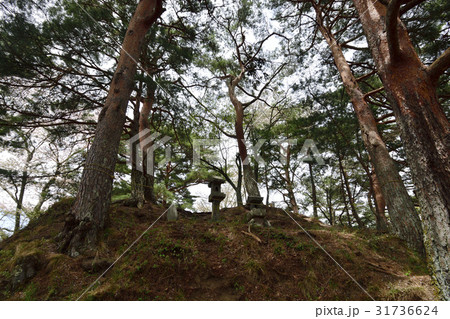 真田氏本城跡 31736624