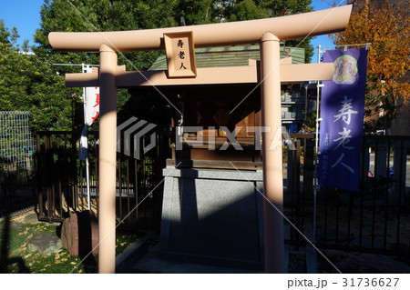 鶴見神社 31736627