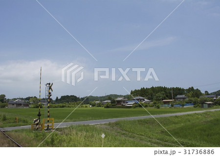 いすみ市 いすみ市 31736886