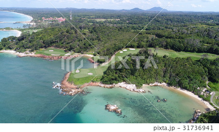 ゴルフ場 ゴルフ場 31736941