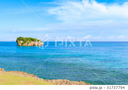沖縄県 今帰仁村 海 沖縄県 今帰仁村 海 31737794