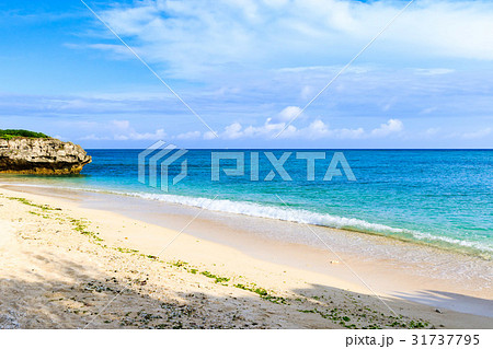 沖縄県 今帰仁村 海 沖縄県 今帰仁村 海 31737795