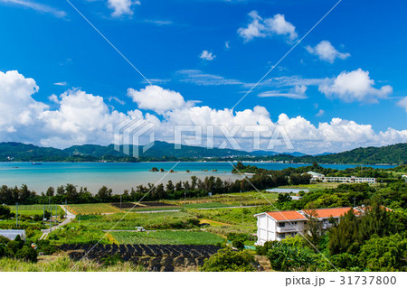 沖縄県　屋我地島　沖縄の風景 31737800