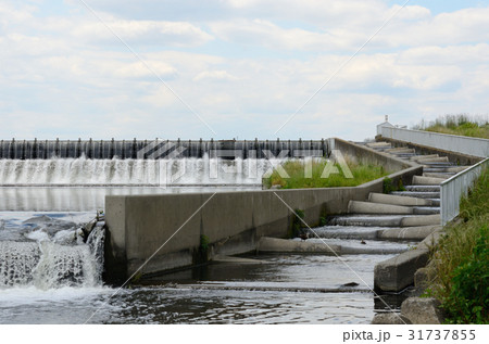 二ヶ領上河原堰と魚道（多摩川、２０１７年６月５日） 31737855