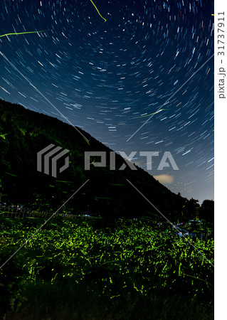 ゲンジボタルと星 31737911