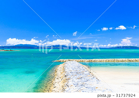 沖縄県　大宜味村　塩屋　海岸　ビーチ 31737924