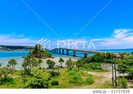 沖縄県　古宇利島　古宇利大橋 31737956
