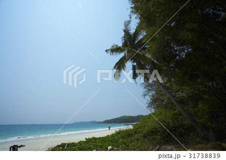 Leisure Concept Leisure Concept 31738839