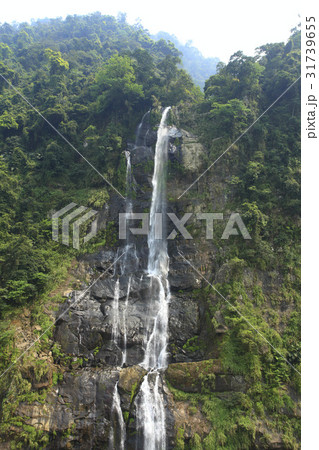 Exploring nature 31739655