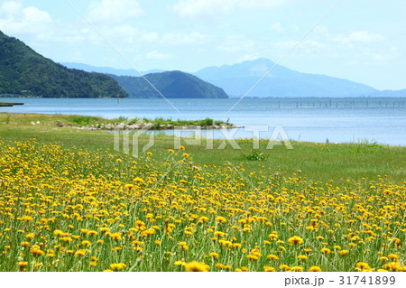 奥琵琶湖桂浜園地からの景色 奥琵琶湖桂浜園地からの景色 31741899