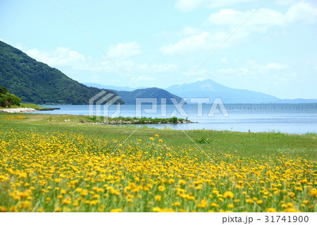 奥琵琶湖桂浜園地からの景色 奥琵琶湖桂浜園地からの景色 31741900
