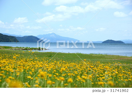 奥琵琶湖桂浜園地からの景色 31741902