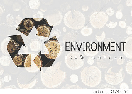 Recycle Environmental Conservation Nature Ecology 31742456