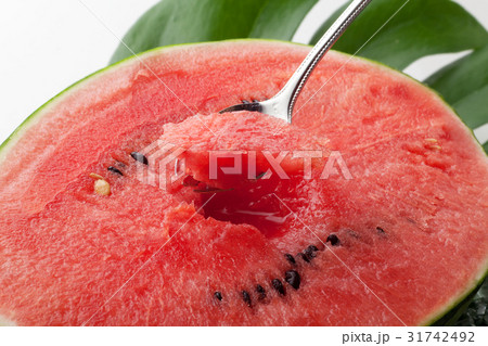 スイカ 31742492