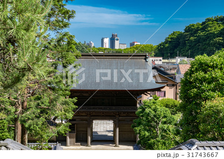 修行僧のための臨済寺から静岡市街を見る（静岡市） 31743667