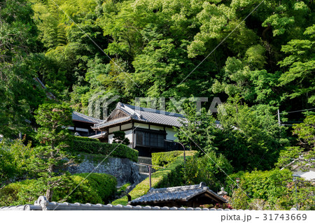 修行僧のための臨済寺（静岡市） 31743669