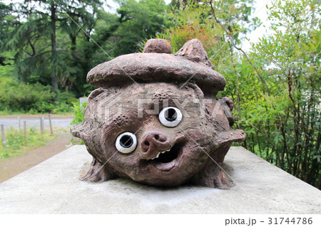 茂林寺のたぬき 31744786